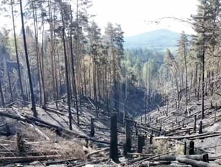 Požiar v Českom Švajčiarsku.