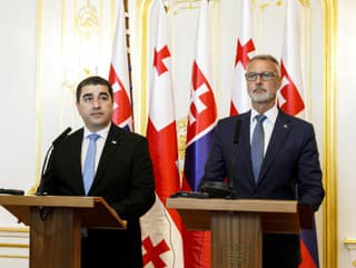 Predseda Národnej rady (NR)