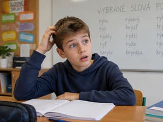 Žiak na hodine slovenského