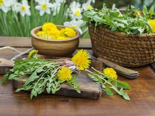 Púpava: Sirup a med