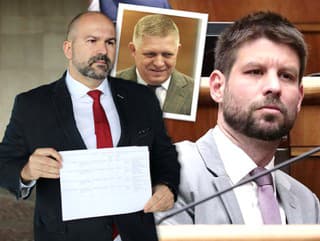 Líder PS zúri: Pčolinského