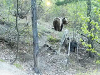 Mesto aj ochranári varujú: