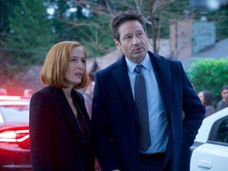 Gillian Anderson a David