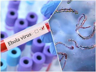 Ebola mieri do Česka?