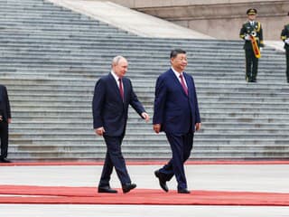 Stretnutie Vladimira Putina so