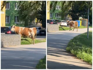 Sídliskoví Košičania zažili ráno