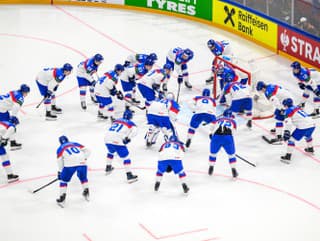 Hokejisti Slovenska v kruhu