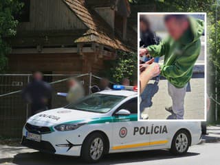 POSUN v prípade násilnej
