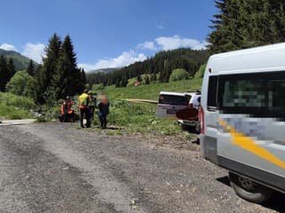 Horská záchranná služba pri