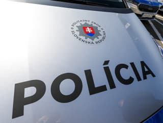 Polícia a inšpektorát práce