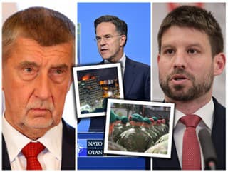 Politici, šéf aliancie a