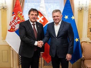 Bratislav Gašić si podáva