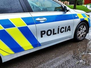 HOROR v Michalovciach: Mladistvý
