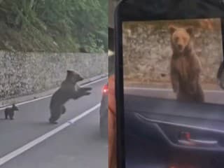 Rumunského turistu napadla na