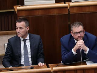 Drucker Tomáš, Šaško Kamil,