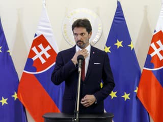 Podpredseda vlády a minister