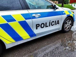 Polícia cvičí v centre