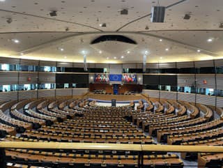 Europarlament preverí stranu ESN: