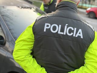 Policajti v Trebišove zasiahli