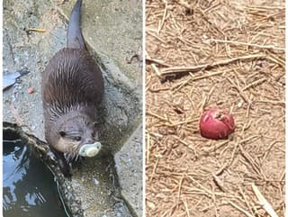 Stále dokola! Kontaktnej zoo