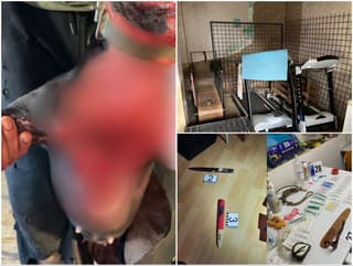 Pôžitok z utrpenia a