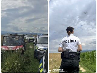 MIMORIADNE V kukuričnom poli