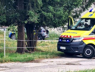 MIMORIADNE Pri Očovej havarovalo