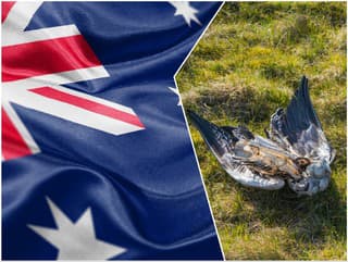 Veľké obavy v Austrálii!