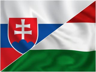 Kauza vysťahovania Rómov z