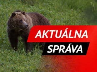Ďalší útok medveďa pri