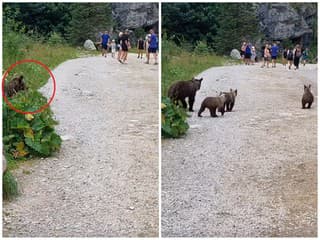 ŠOK počas turistiky v