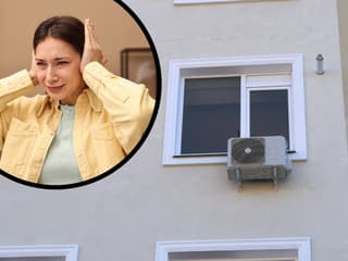 Ako stredoveké MUČENIE! Danica