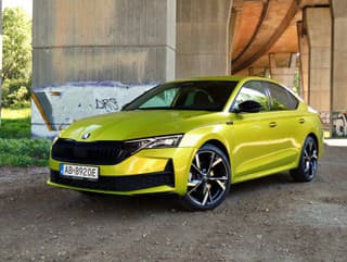 Škoda Octavia Dragon Skin