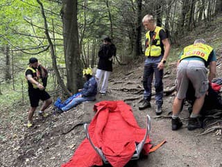 Poranenie členka v Malej