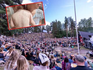 Na festivale vo Švédsku