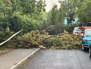 Petržalka po búrke. 
