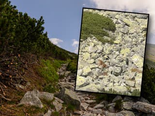 Turistom sa v Tatrách