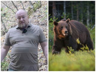 Huliak po útoku medveďa