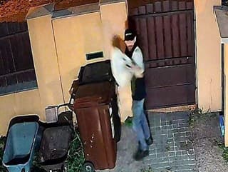 Polícia vyšetruje krádež v