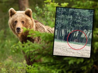 Obec VAROVALA obyvateľov pred