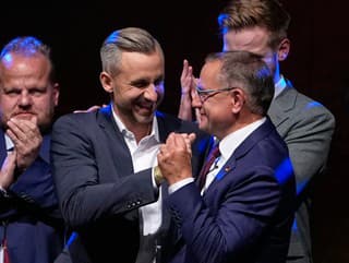 Politický otras v Nemecku: