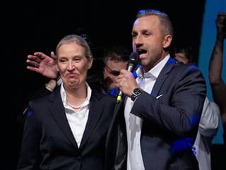 AfD valcuje v Nemecku