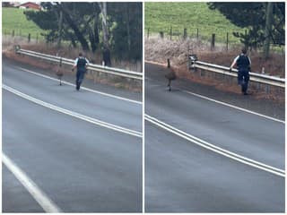 Najbizarnejšia policajná naháňačka: Keď