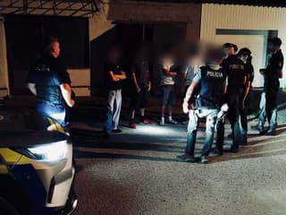 Policajná akcia zameraná na