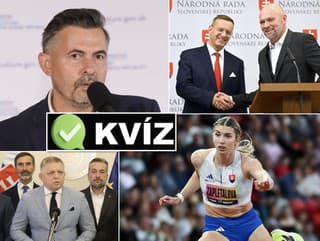 Politika, šport či šoubiznis: