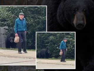 Dedko si medveďa vedľa