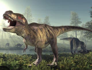Prekvapivý objav o T-Rexovi!