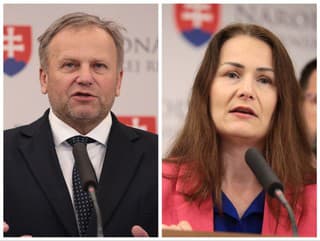 Vladimír Ledecký a Martina