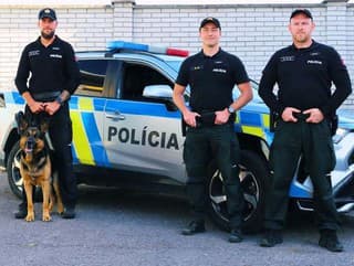 Policajný pes vypátral páchateľov