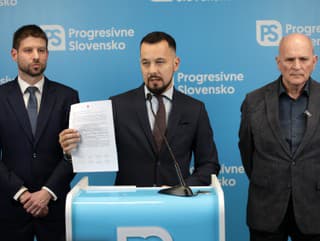 Michal Šimečka, Juraj Šeliga